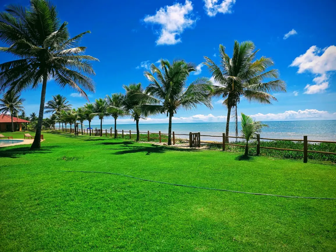 Jardim com coqueiros e vista para o mar — Bangalôs da Professora Eunice