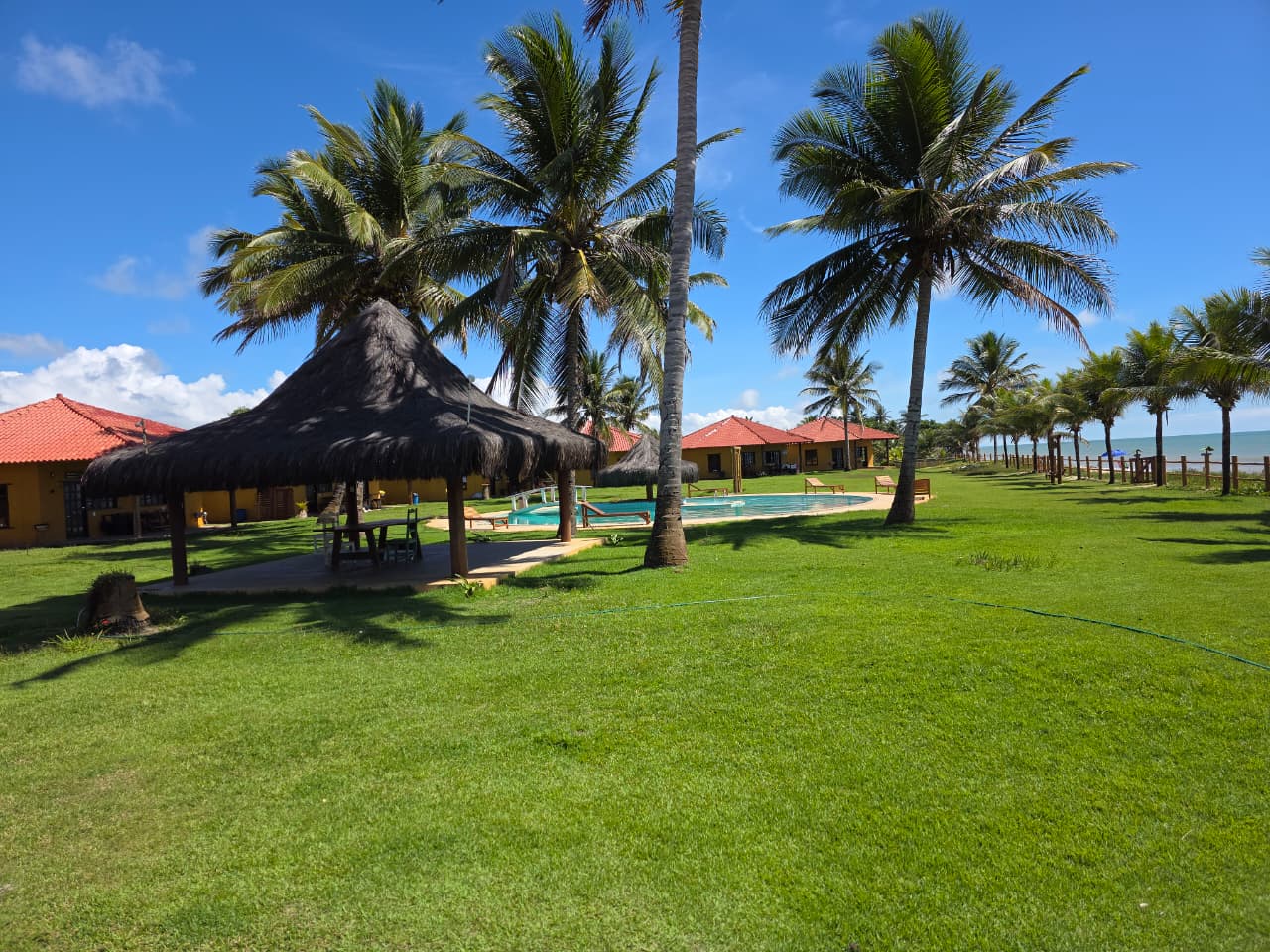 Área com piscina e coqueiros frente ao mar
